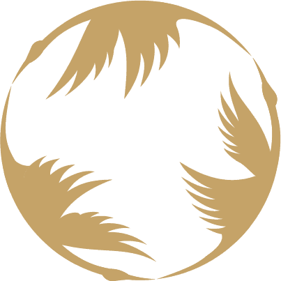 三位一体の触媒構造